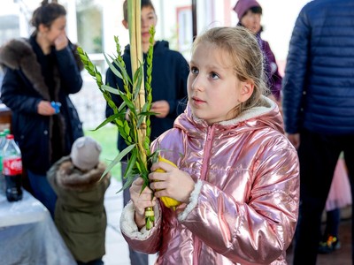 Dolore asperiores reprehenderit